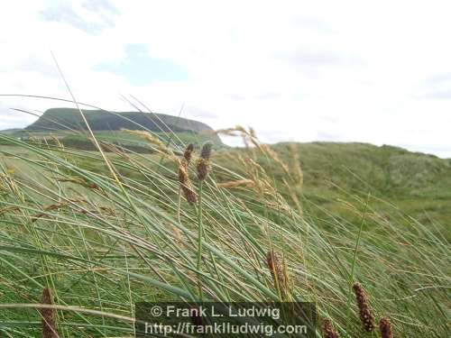 Strandhill